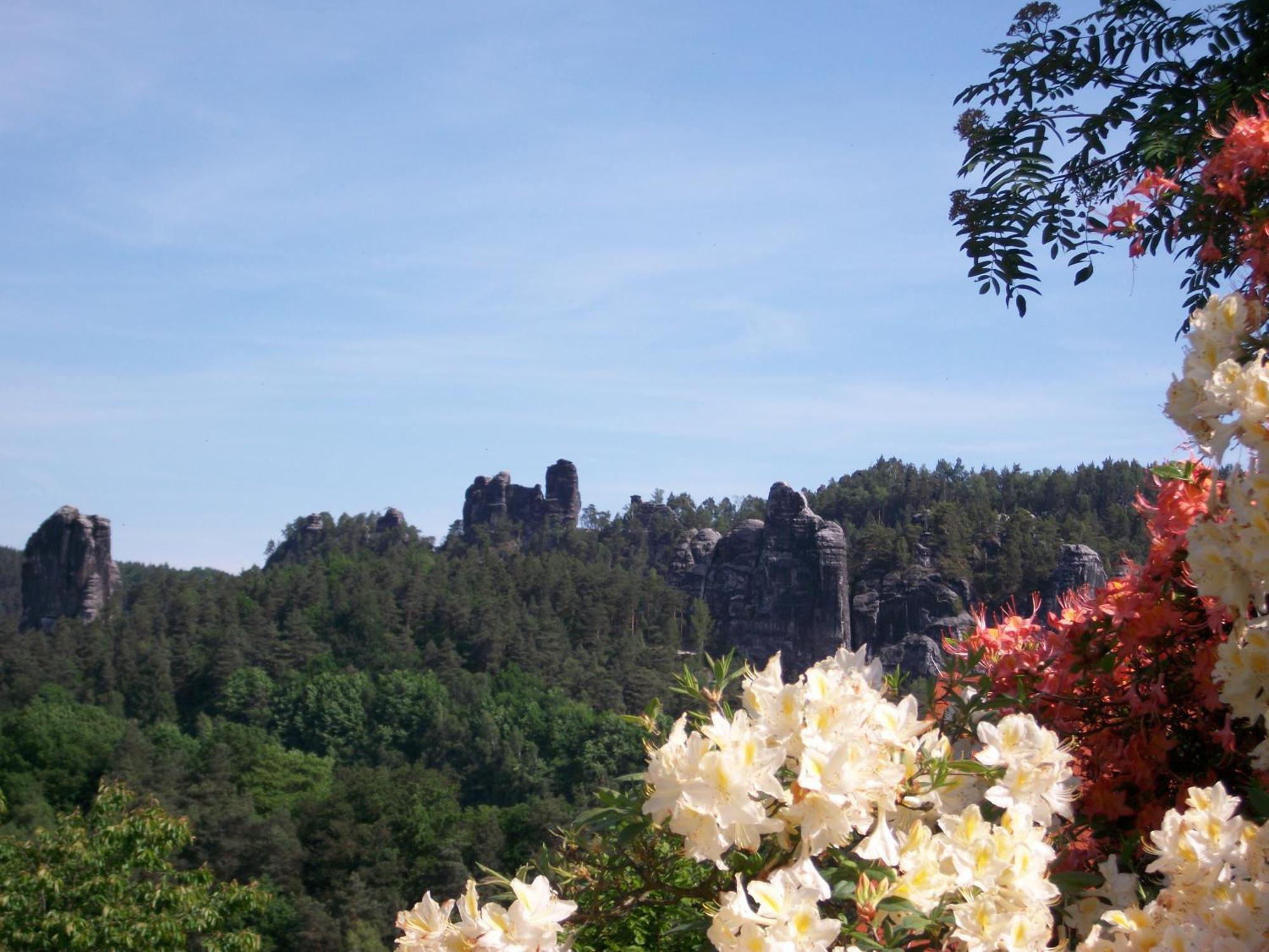 Ferienwohnung Zum Lilienstein Bad Schandau Esterno foto